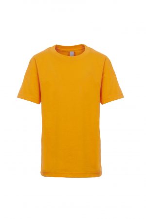 Next Level Youth Premium S/S Crew - Image 14
