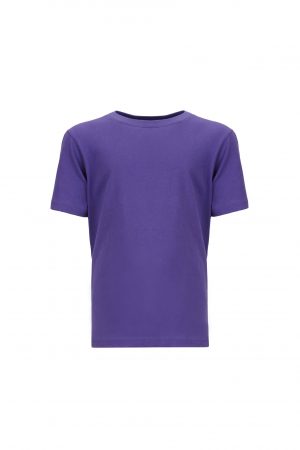 Next Level Youth Premium S/S Crew - Image 29